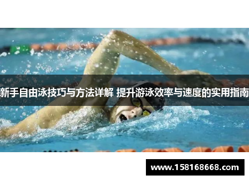 新手自由泳技巧与方法详解 提升游泳效率与速度的实用指南