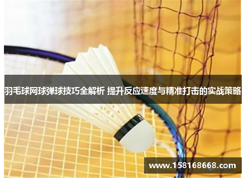 羽毛球网球弹球技巧全解析 提升反应速度与精准打击的实战策略