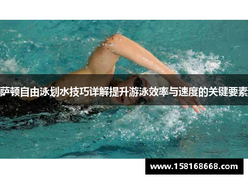 萨顿自由泳划水技巧详解提升游泳效率与速度的关键要素