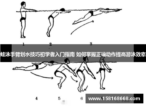蛙泳手臂划水技巧初学者入门指南 如何掌握正确动作提高游泳效率