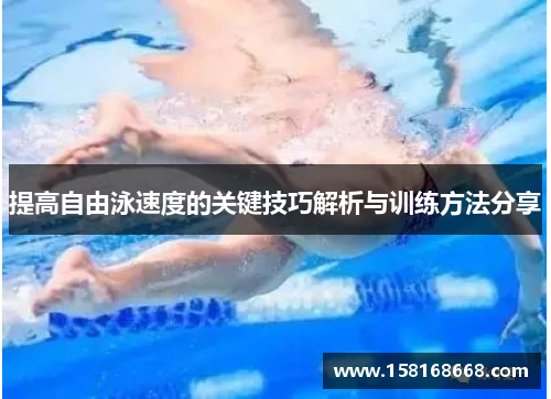 提高自由泳速度的关键技巧解析与训练方法分享
